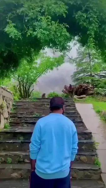 Walking up steps surrounded by greenery