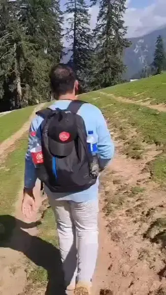 A walk along a forest path