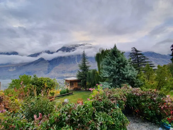 Mountain or forest scenery from Ameer’s travels