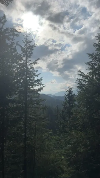 Mountain or forest scenery from Ameer’s travels